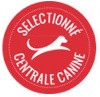  - LABEL SCC - ÉLEVAGE SÉLECTIONNÉ