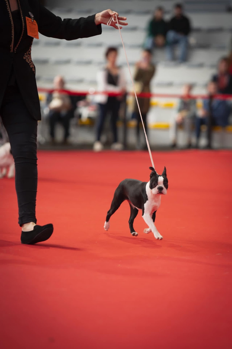 Votre altesse Du Domaine D'Auberive